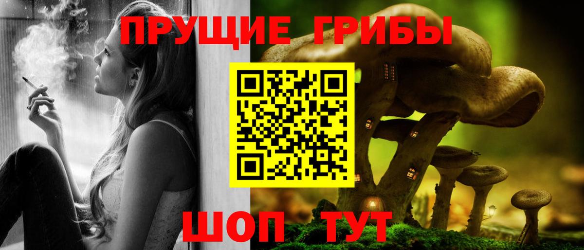 где купить наркоту  Псилоцибиновые грибы ЛСД  Вход с VPN  Выкса 