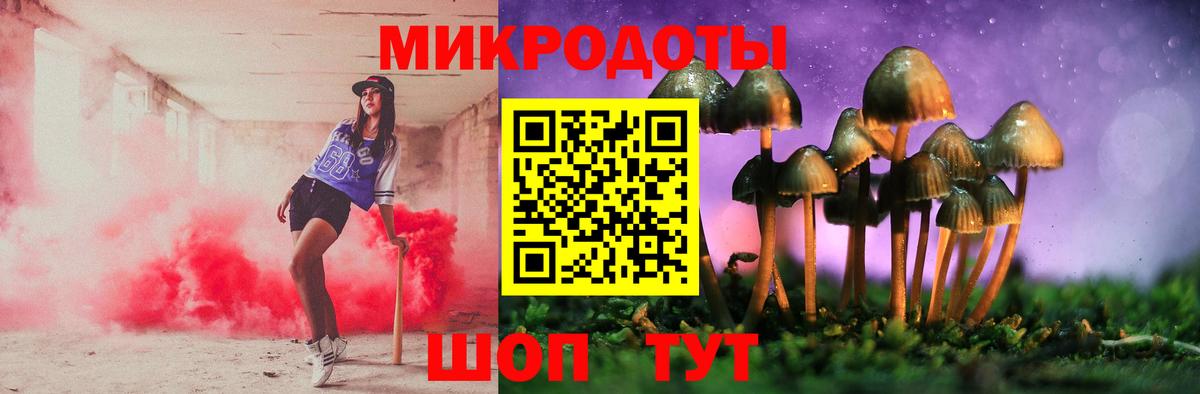 Галлюциногенные грибы Psilocybine cubensis Выкса